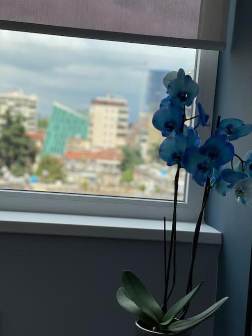 Appartamento Voyage Penthouse Tirana Esterno foto